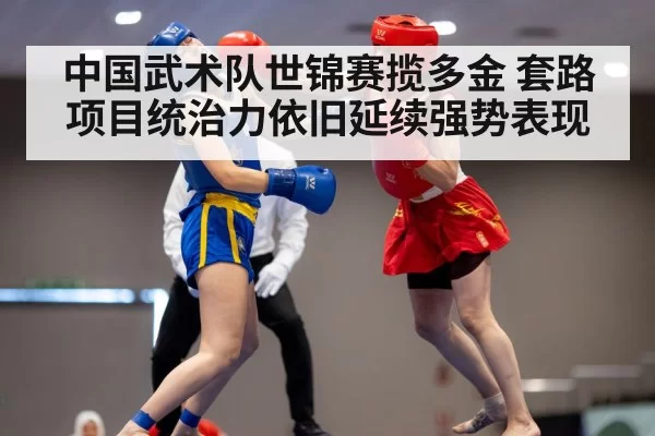 中国武术队世锦赛揽多金 套路项目统治力依旧延续强势表现