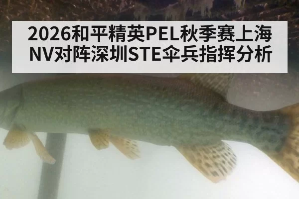 2026和平精英PEL秋季赛上海NV对阵深圳STE伞兵指挥分析